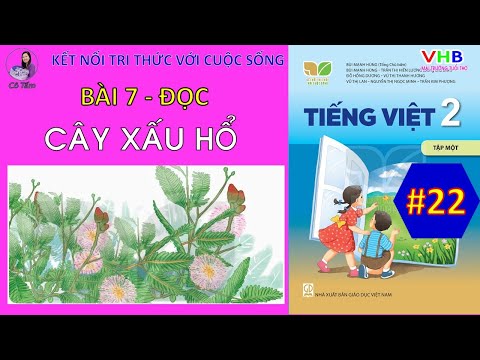 Video Tiếng Việt Lớp 2| Tập 1| Bài 7| Đọc | Cây xấu hổ |Kết... - youtube