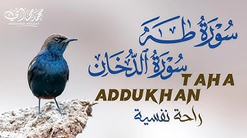 سورة طه,الدخان |تلاوة هادئة تهتز لها القلوب|القارئ محمد حجازي|TAHA,ADDUKHAN