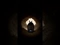 Rabbit POV: Something Sealed the Tunnel Exit