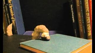 Bookworm Stop motion