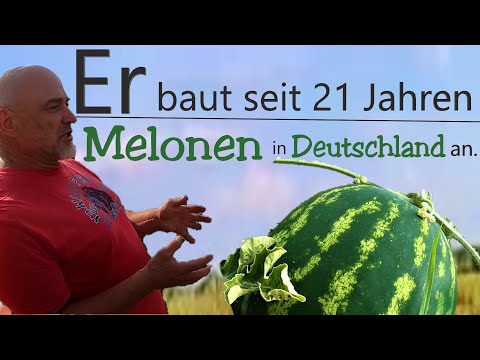 Video: Anbau von kernlosen Wassermelonen: Wie man kernlose Wassermelonen ohne Samen anbaut