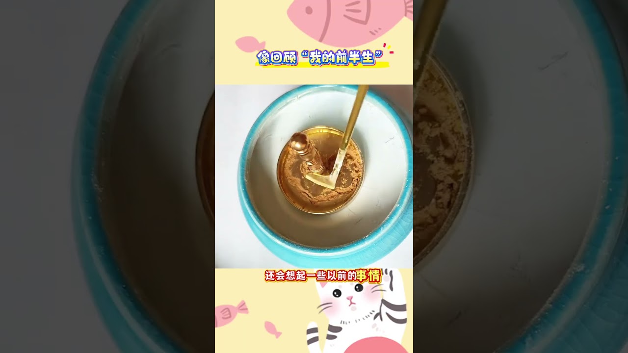 Unloading Emotions: My Album Purge Journey in 100 Pics or Less