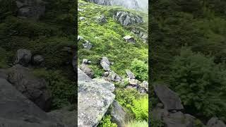 Voilà pourquoi au coin du feu c’est absenté ? #view #wow #nature #relaxingmusic #mountain