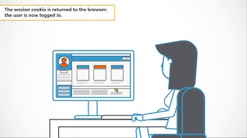 Coders Conquer Security OWASP Top 10 API Series: NOSQL Injection