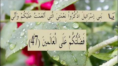 القران الكريم سورة البقرة الاية 47