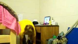 Extra Credit-Pants Trick :)