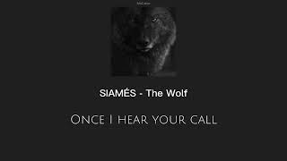 ✨ SIAMÉS - The Wolf (sped up + lyrics)