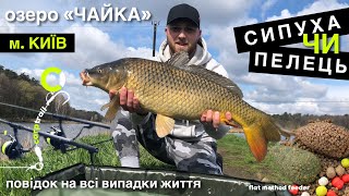 Найкраща ловля коропа! Риба клює одна за одною на ФЛЕТ ФІДЕР! Озеро «Чайка» Київ.
