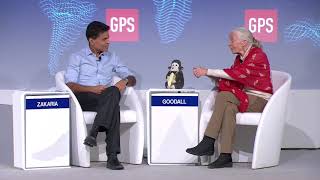 Davos 2019 - An Insight, An Idea with Jane Goodall