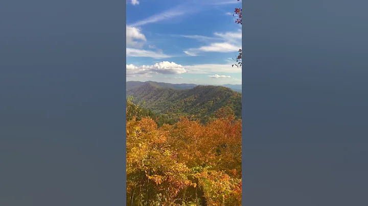 Great Smokey Mountains - Fall 2022