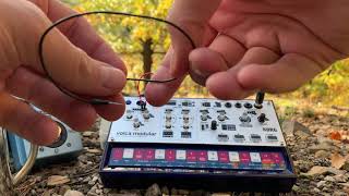 Fall Forest Jam #4 with Volca Modular - Slightly distorted Ambient with pleasant vinyl cracking Net Worth