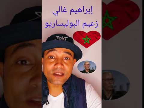 ماذا تعرف عن إبراهيم غالي زعيم البوليساريو