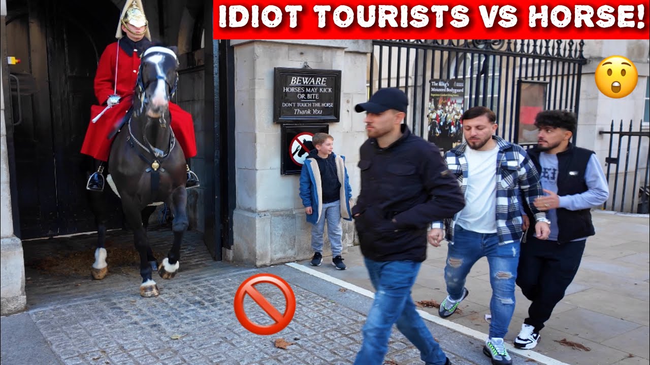 WATCH😳 Idiot Tourists Test the Guard… and the Horse STRIKES‼️