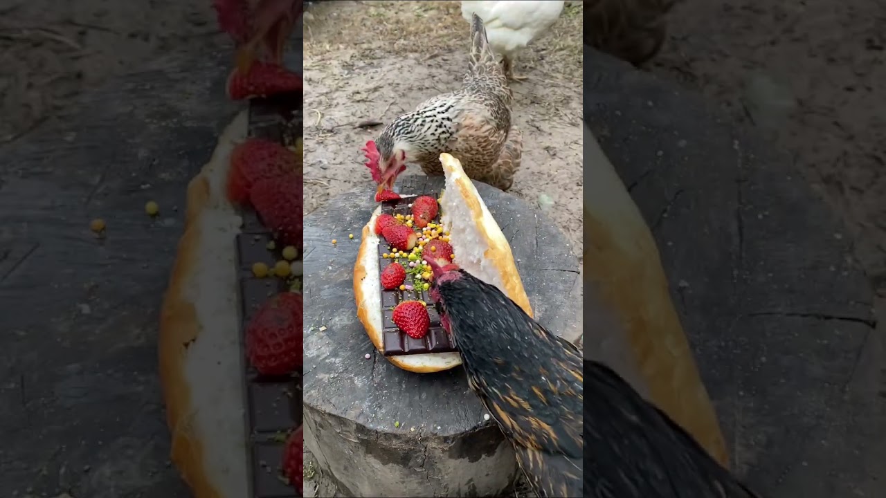 Çikolatalı Çilekli Tost ???????????? #Tost #çikolata #yemek #yemektarifleri #strawberry #Tavuk #chicken Çikolatalı Çilekli Tost ???????????? #Tost #çikolata #yemek #yemektarifleri #strawberry #Tavuk #chicken