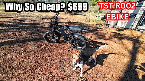 A 1500W Full-Suspension Moped Style E-Bike for $699? My Honest Review