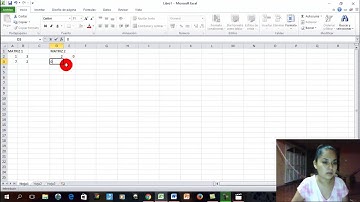 Funcion MMULT en Excel