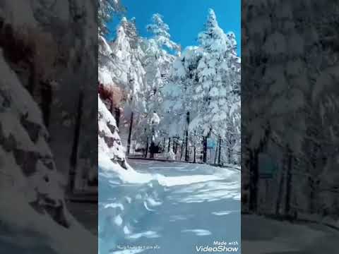 عندما يلتقي دفئ الشمس مع صقيع الثلج 