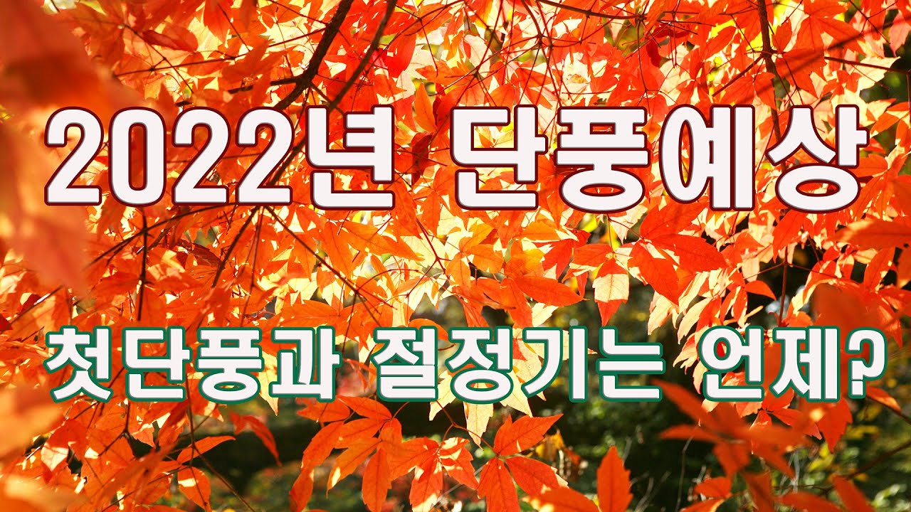 2022년 단풍예상 / 첫단풍과 절정기는 언제일까요? / 주요 명산의 단풍시기 / Autumn Leaves in Korea ...