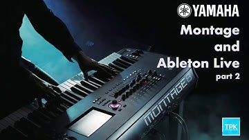 Yamaha Montage and Ableton Live: Part 2 (Audio/MIDI Setup)