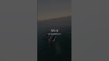 Surah Al-Imran 19-20 سورة آل عمران  #quranib #quran