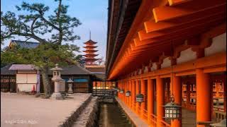 Wistful Harp - Andrew Huang 1 hour | NHẠC KHÔNG LỜI TĨNH TÂM