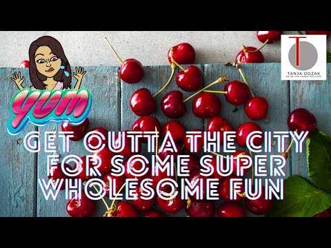 Fun day-trip from Oakland / Berkeley East Bay Area: U-Pick Farms in Brentwood CA