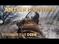 Shed hunters chesapeake bay retriever