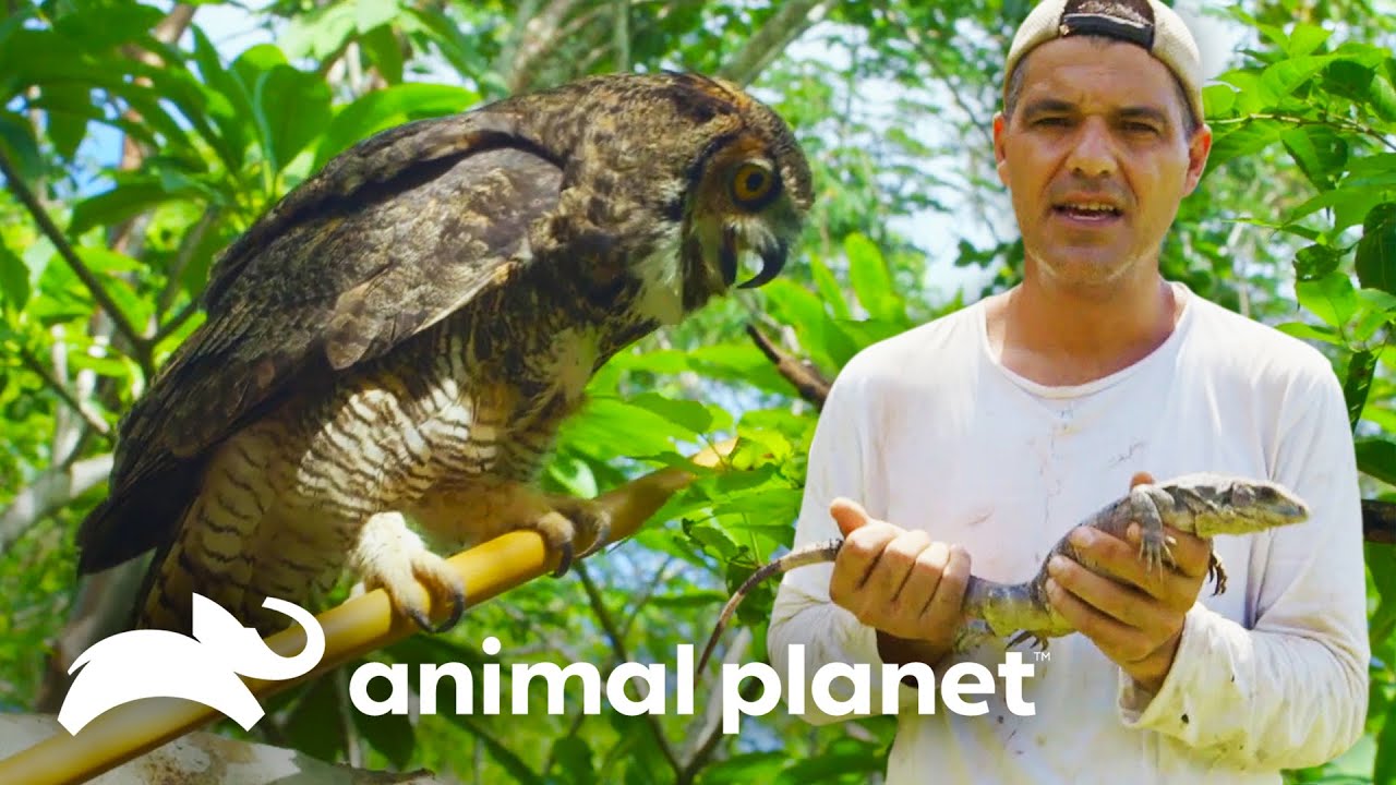 Aventuras com Wild Frank: Perseguindo animais nas ruínas Maias | Perdido no México video to gif