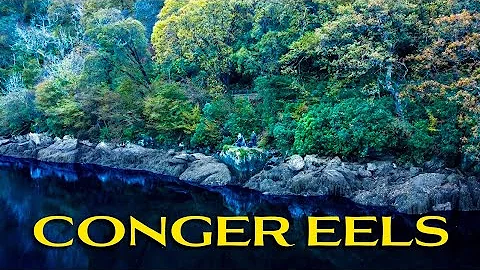 This is a BIG FISH. This is a HUGE FISH!!!! | CONGER EEL FISHING | SEA FISHING SCOTLAND