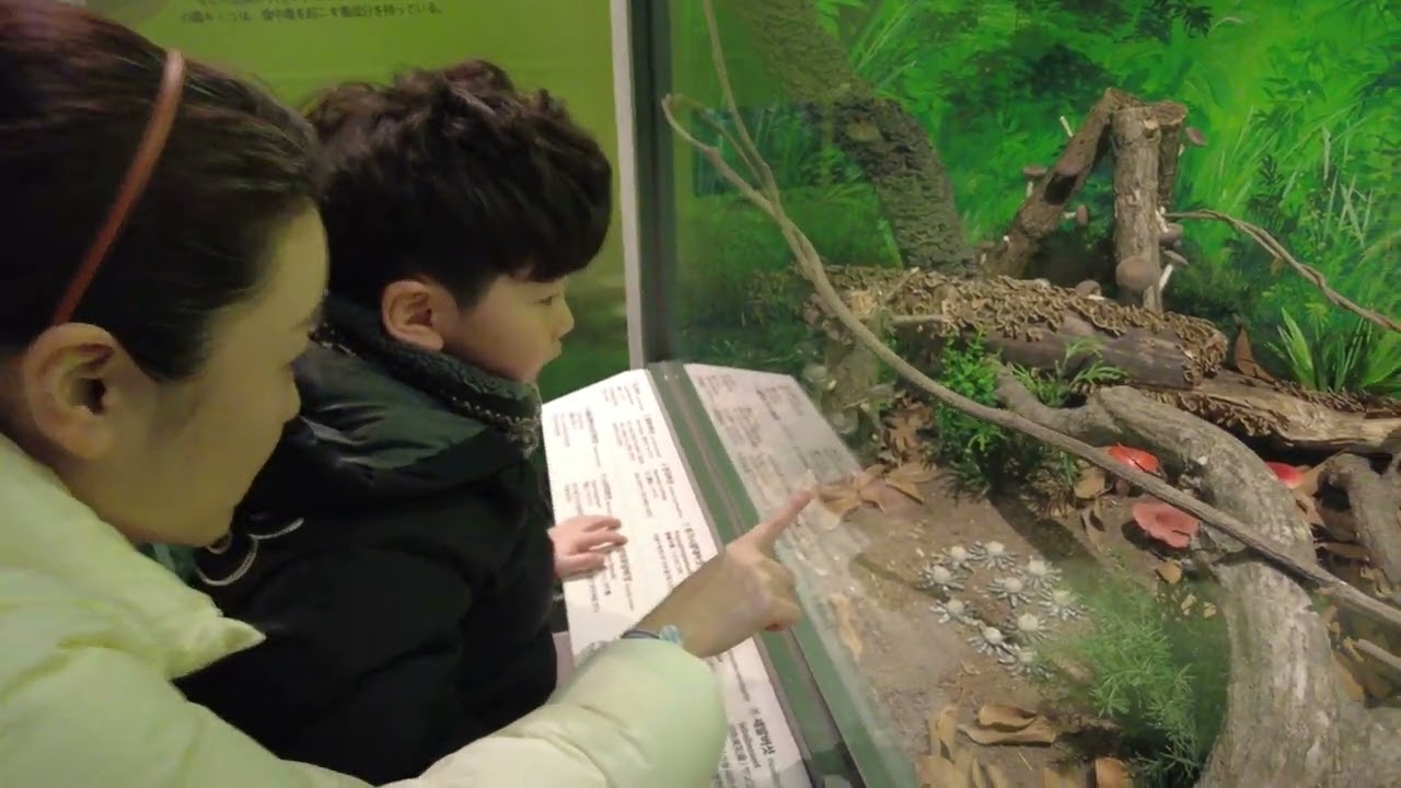 2026‎년 ‎2‎월 ‎7일 자연사박물관 #13