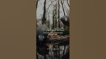 فلا تحسبن الله مخلف وعده رسله إن الله عزيز ذو انتقام | الآية 47 من سورة إبراهيم