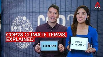 COP28: United Nations climate summit jargon, explained