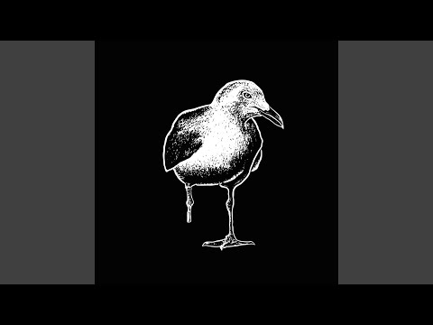 Head Case (Bonus Track)