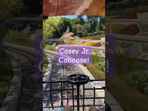 Vídeo: Viatge en tren de circ de Casey Jr. a Disneyland: coses que cal saber