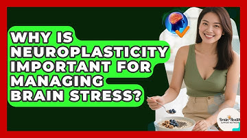 Why Is Neuroplasticity Important For Managing Brain Stress? - Brain Health Support Network