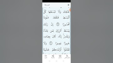 سورة الإسراء بالتجويد المبسط الصفحة (٢٨٥)