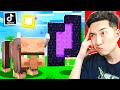 Testing VIRAL TikTok MINECRAFT HACKS to See IF THEY WORK!