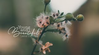 • Vietsub/Lyrics • Lana Del Rey 'Young And Beautiful' | Hawyn & Hamilk