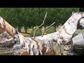 A Spetsnaz unit raid on a terrorist base - ARMA 3