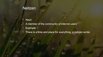 Netizen | Netizen meaning