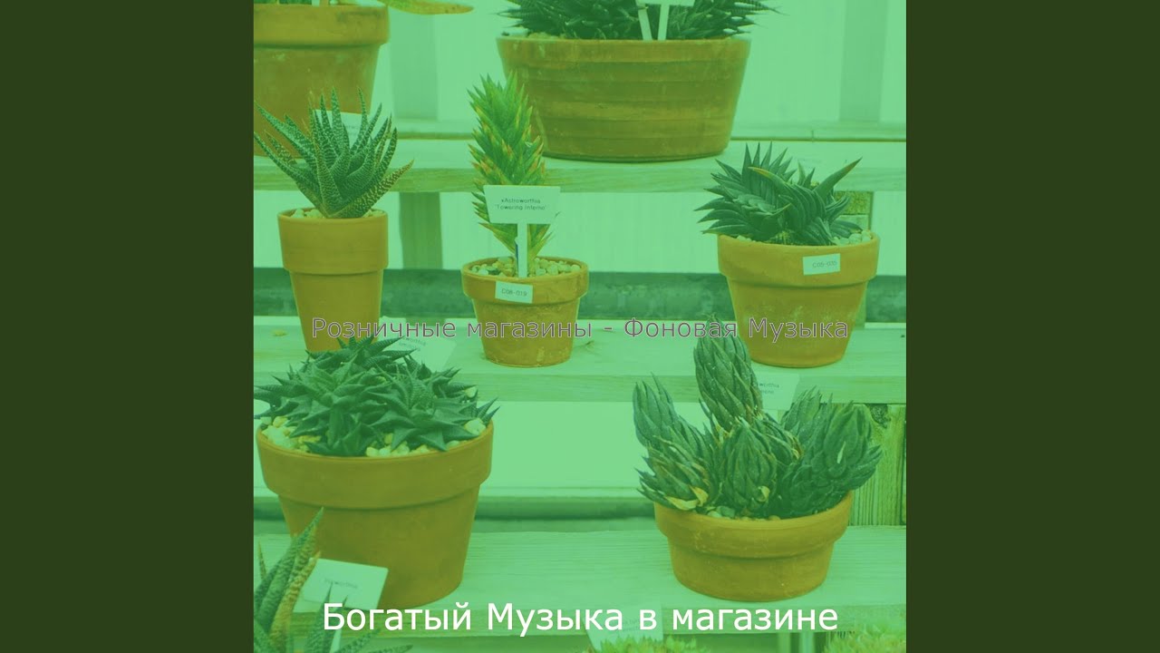 Настроения (Магазины) - YouTube