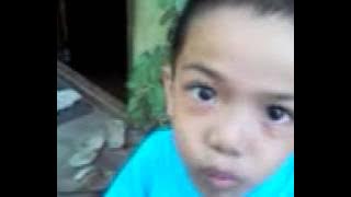 Yang's do the harlem shake