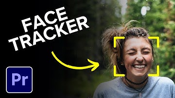 How to Add a Face Tracker Effect in Premiere Pro