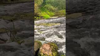 Голавлиный перекат
