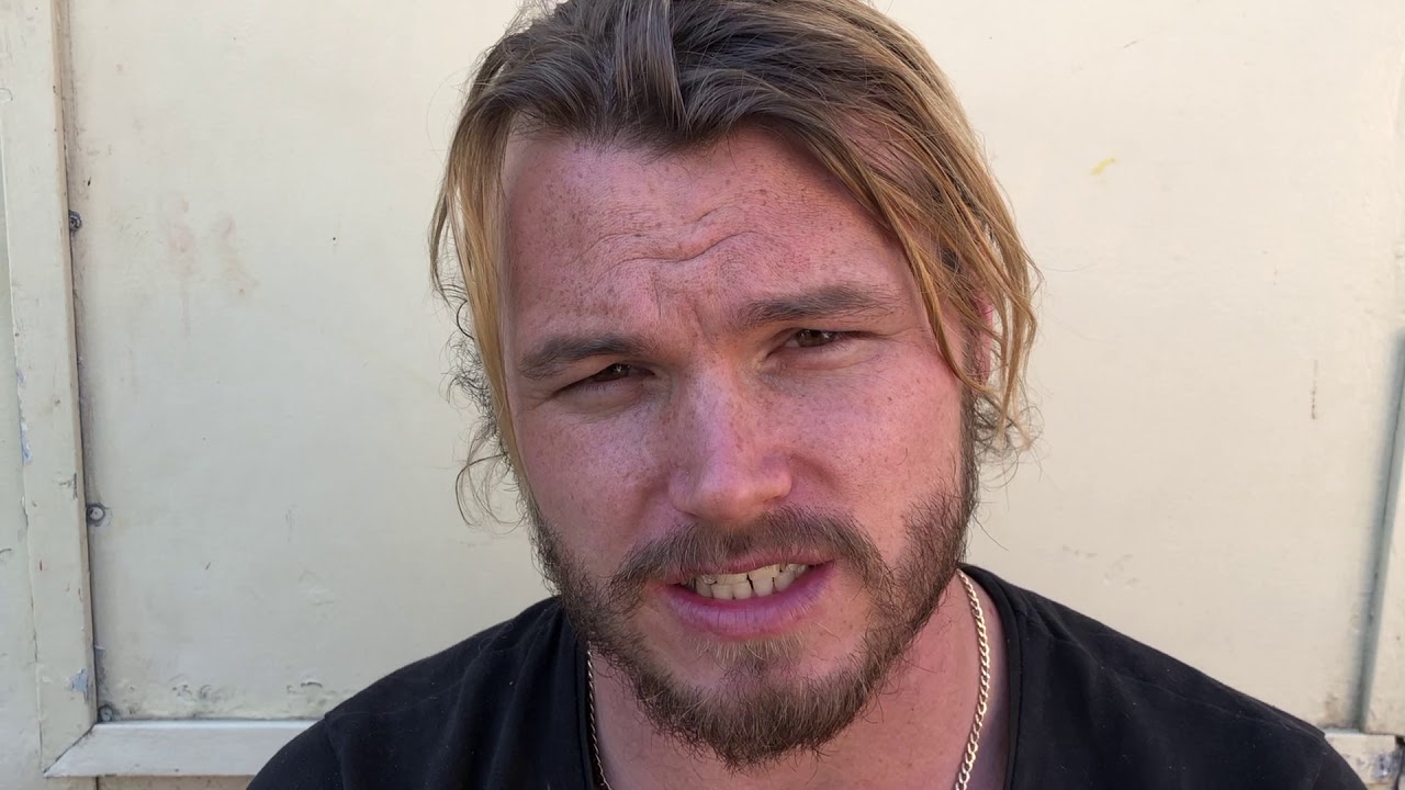 Zvířata v cirkusech