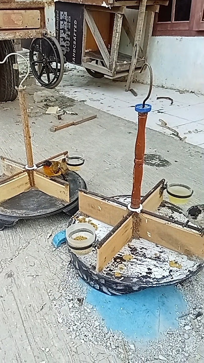 HOW TO MAKE A CROSSFLY CAGE FOR GOLDEN FISHING THREADS!!! #birdhobby #finchmania #shorts