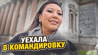 Пробую КОРЕЙСКУЮ КУХНЮ В ПИТЕРЕ! СРАВНИВАЮ ЦЕНЫ С МОСКВОЙ! Хотела бы ПЕРЕЕХАТЬ В ПИТЕР? |Niky Sarang