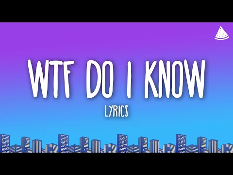 Miley Cyrus WTF Do I Know Lyrics