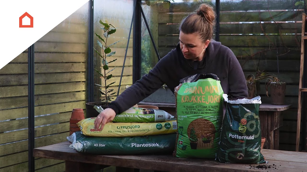 Guide til valg af jord og pottemuld