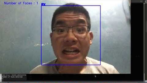 Face Detection using Nearest Neighbour Classifier (SSD)